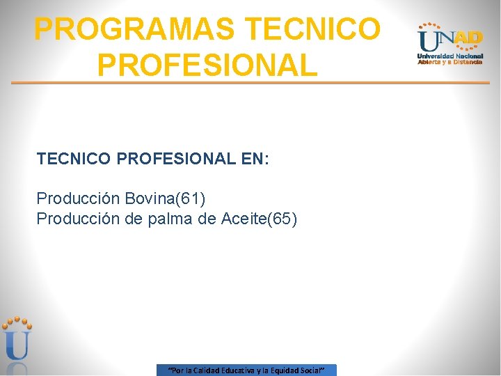 PROGRAMAS TECNICO PROFESIONAL EN: Producción Bovina(61) Producción de palma de Aceite(65) “Por la Calidad