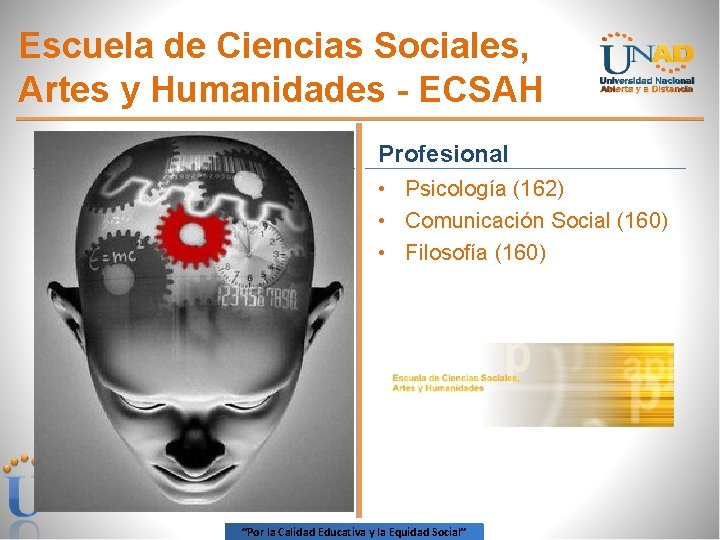 Escuela de Ciencias Sociales, Artes y Humanidades - ECSAH Profesional • Psicología (162) •