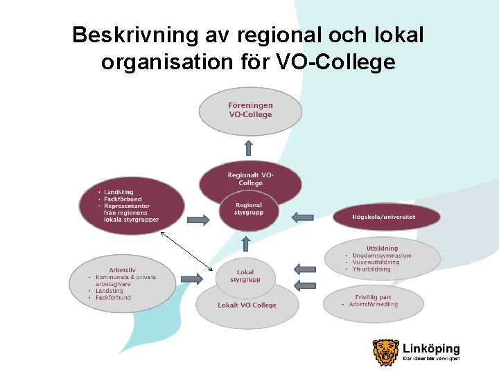 Beskrivning av regional och lokal organisation för VO-College 