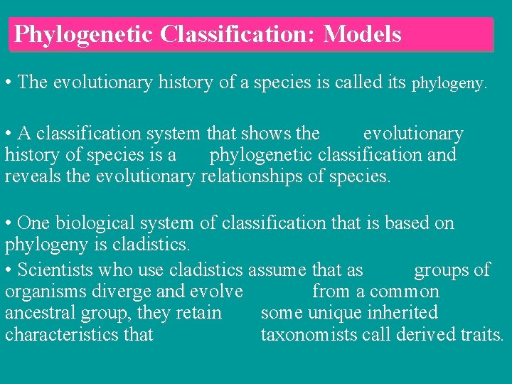 Phylogenetic Classification: Models • The evolutionary history of a species is called its phylogeny.