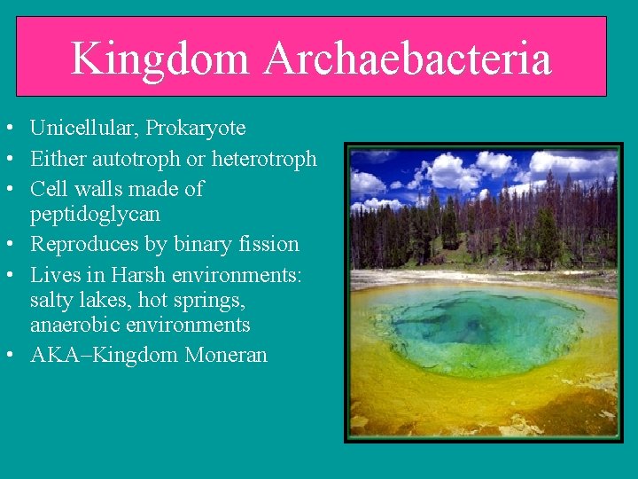 Kingdom Archaebacteria • Unicellular, Prokaryote • Either autotroph or heterotroph • Cell walls made