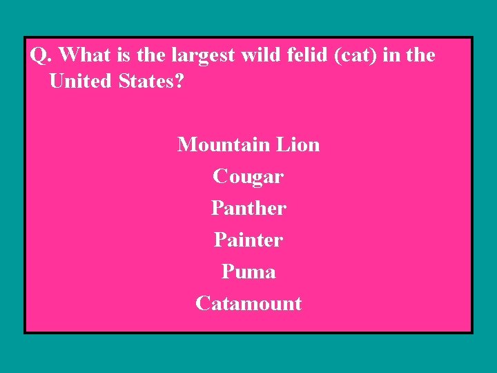 Q. What is the largest wild felid (cat) in the United States? Mountain Lion