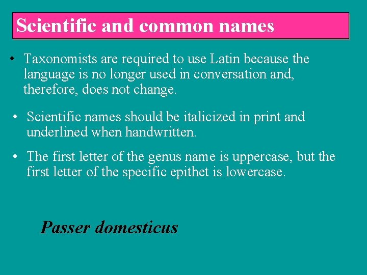 Scientific and common names • Taxonomists are required to use Latin because the language