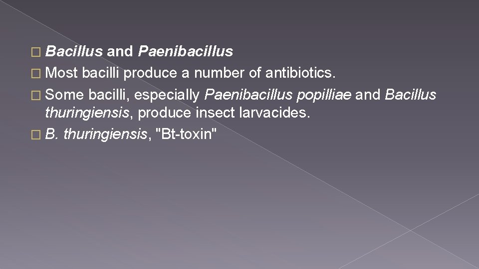 � Bacillus and Paenibacillus � Most bacilli produce a number of antibiotics. � Some