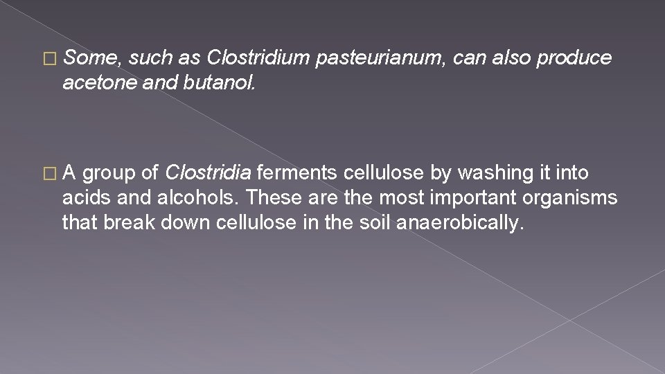 � Some, such as Clostridium pasteurianum, can also produce acetone and butanol. �A group