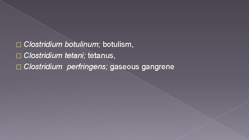 � Clostridium botulinum; botulism, � Clostridium tetani; tetanus, � Clostridium perfringens; gaseous gangrene 