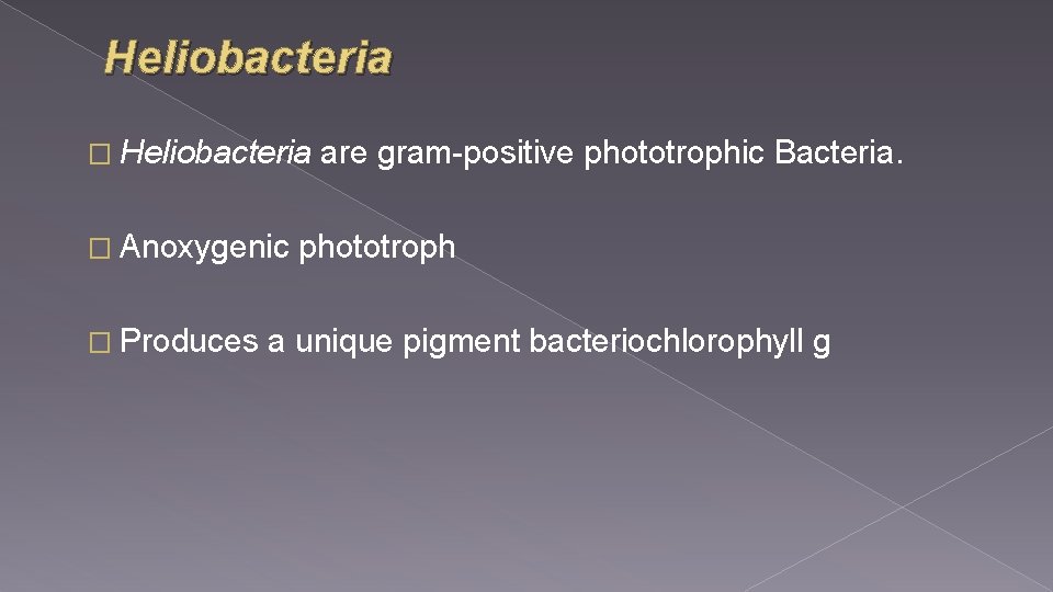 Heliobacteria � Anoxygenic � Produces are gram-positive phototrophic Bacteria. phototroph a unique pigment bacteriochlorophyll