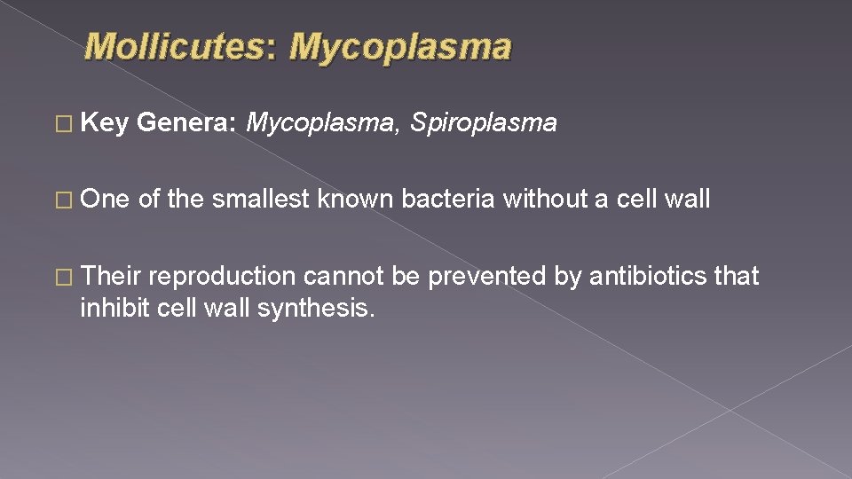 Mollicutes: Mycoplasma � Key Genera: Mycoplasma, Spiroplasma � One of the smallest known bacteria