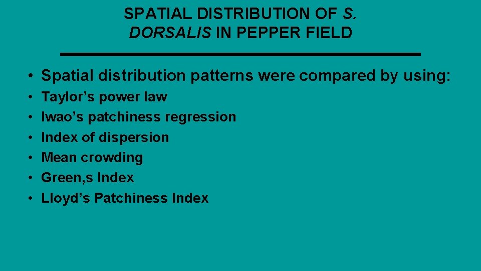 SPATIAL DISTRIBUTION OF S. DORSALIS IN PEPPER FIELD • Spatial distribution patterns were compared