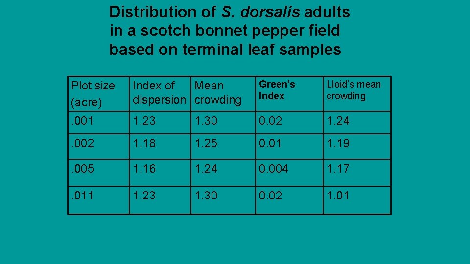 Distribution of S. dorsalis adults in a scotch bonnet pepper field based on terminal