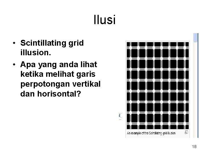 Ilusi • Scintillating grid illusion. • Apa yang anda lihat ketika melihat garis perpotongan