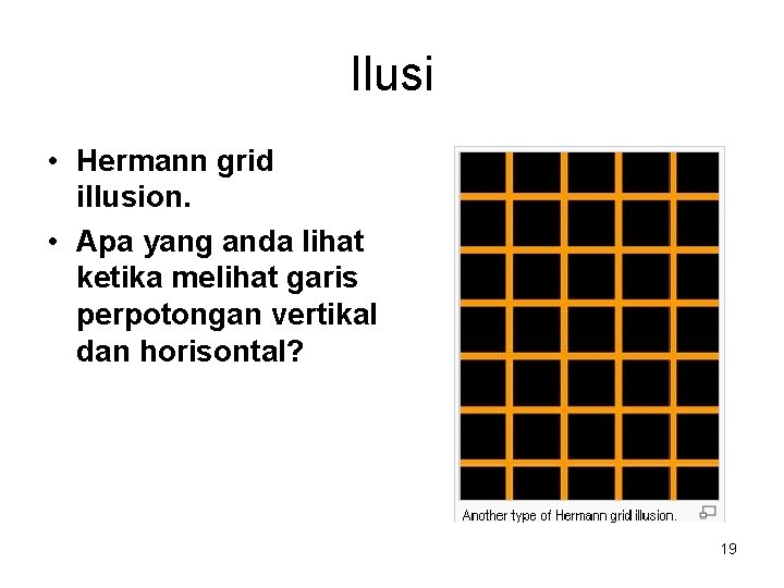 Ilusi • Hermann grid illusion. • Apa yang anda lihat ketika melihat garis perpotongan