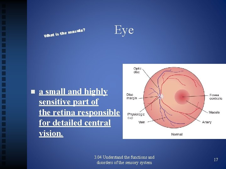 ula? e mac h t s i t Wha n Eye a small and