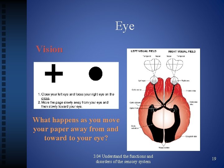 Eye Vision What happens as you move your paper away from and toward to