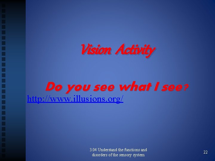 Vision Activity Do you see what I see? http: //www. illusions. org/ 3. 04