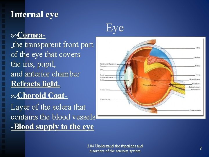 Internal eye Eye Cornea- the transparent front part of the eye that covers the