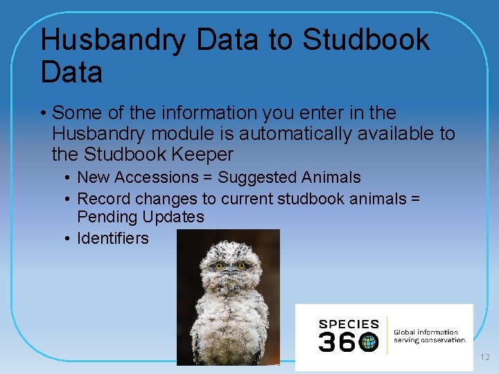 Husbandry Data to Studbook Data • Some of the information you enter in the