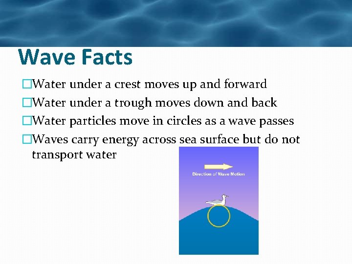 Wave Facts �Water under a crest moves up and forward �Water under a trough