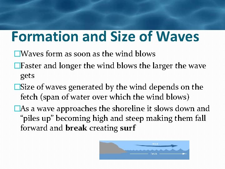 Formation and Size of Waves �Waves form as soon as the wind blows �Faster