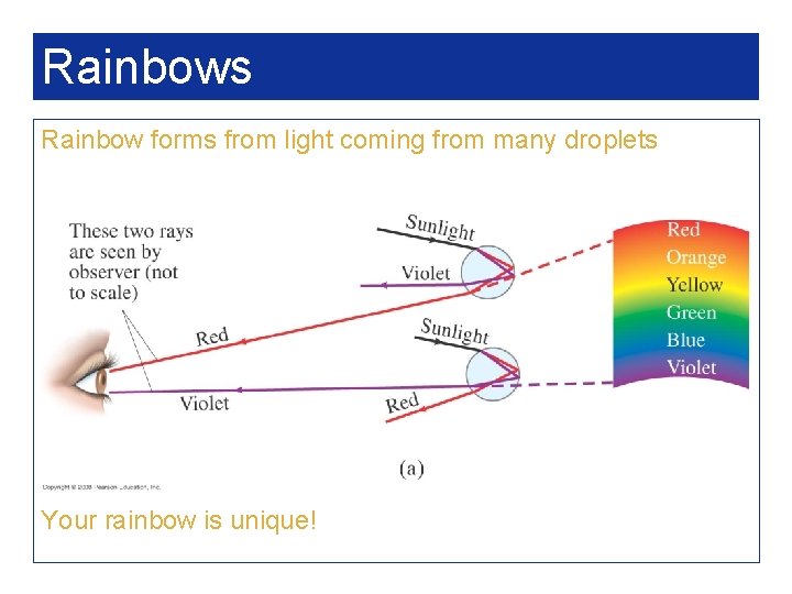 Rainbows Rainbow forms from light coming from many droplets Your rainbow is unique! 