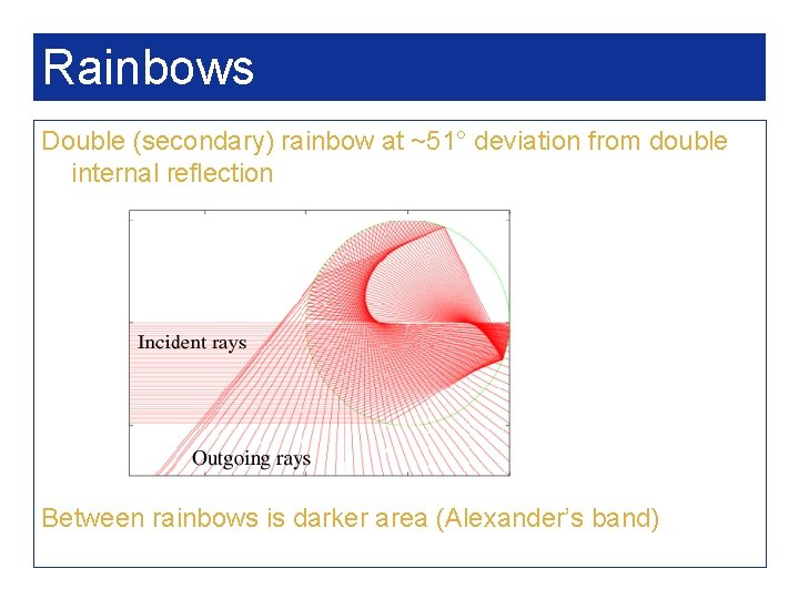 Rainbows Double (secondary) rainbow at ~51° deviation from double internal reflection Between rainbows is