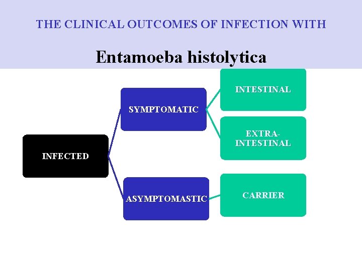 THE CLINICAL OUTCOMES OF INFECTION WITH Entamoeba histolytica INTESTINAL SYMPTOMATIC EXTRAINTESTINAL INFECTED ASYMPTOMASTIC CARRIER