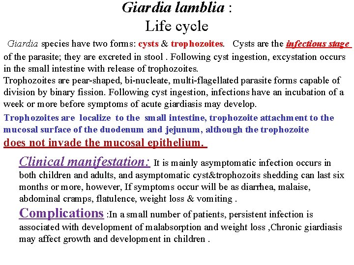 Giardia lamblia : Life cycle Giardia species have two forms: cysts & trophozoites. Cysts