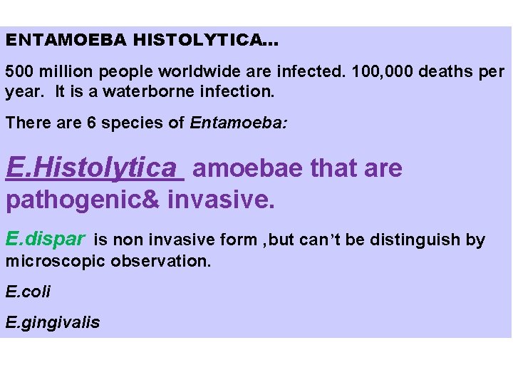 ENTAMOEBA HISTOLYTICA… 500 million people worldwide are infected. 100, 000 deaths per year. It