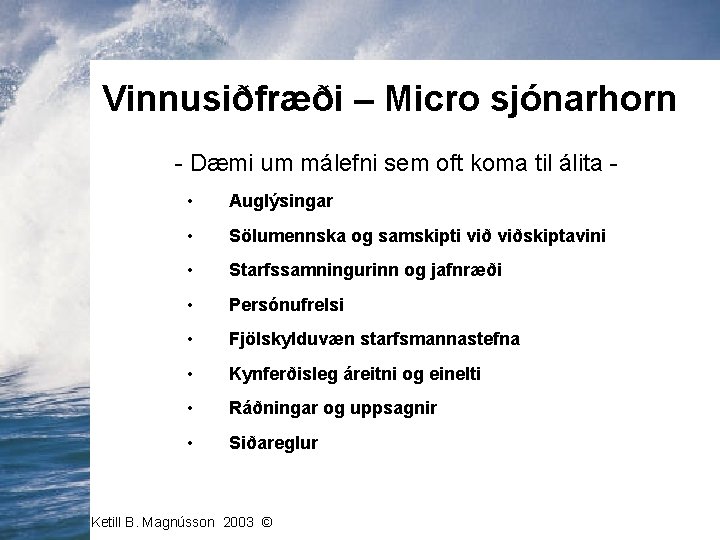 Vinnusiðfræði – Micro sjónarhorn - Dæmi um málefni sem oft koma til álita •