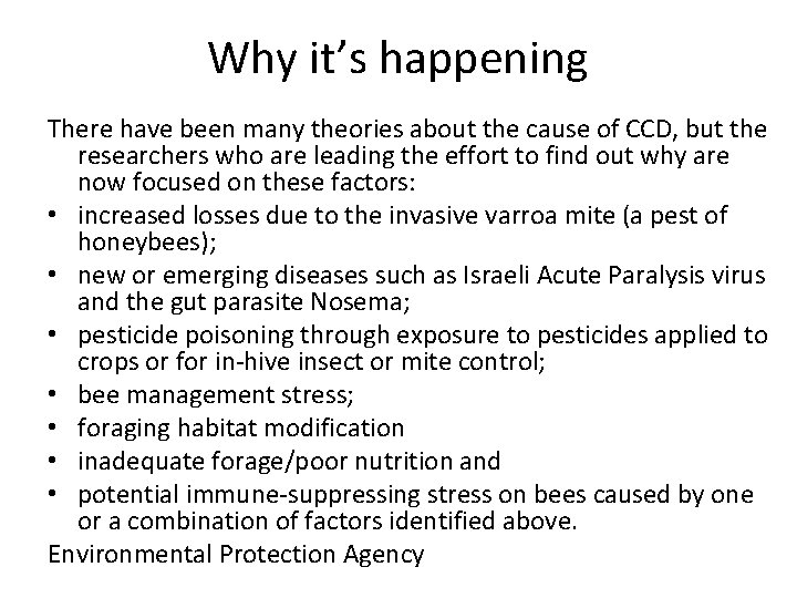 Why it’s happening There have been many theories about the cause of CCD, but