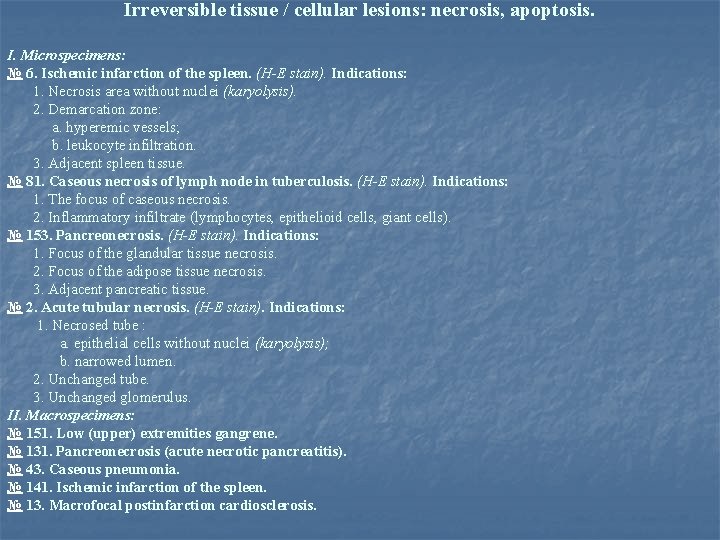 Irreversible tissue / cellular lesions: necrosis, apoptosis. I. Microspecimens: № 6. Ischemic infarction of