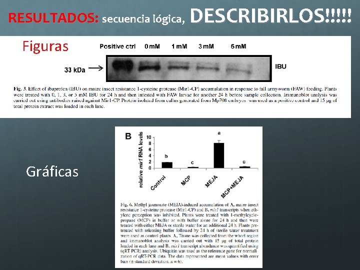 RESULTADOS: secuencia lógica, DESCRIBIRLOS!!!!! Figuras Gráficas 