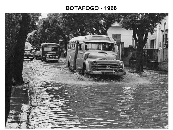 BOTAFOGO - 1966 