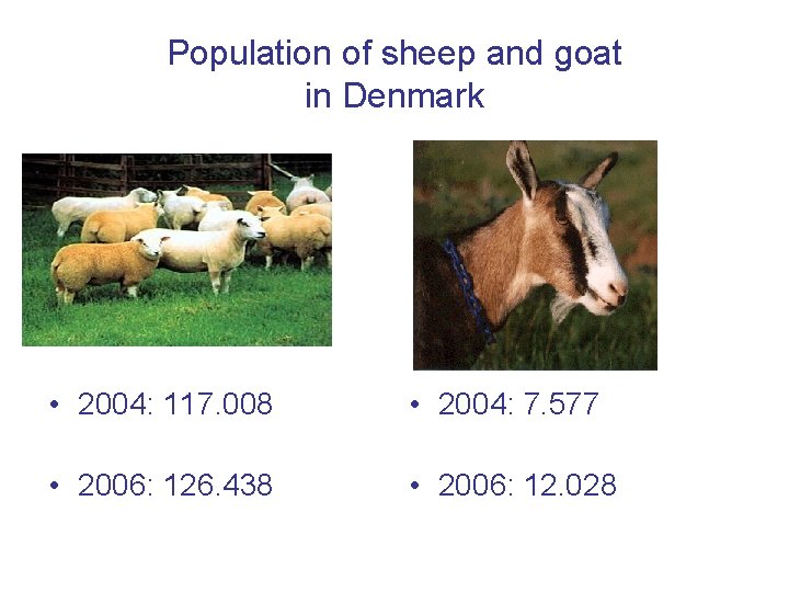 Population of sheep and goat in Denmark • 2004: 117. 008 • 2004: 7.