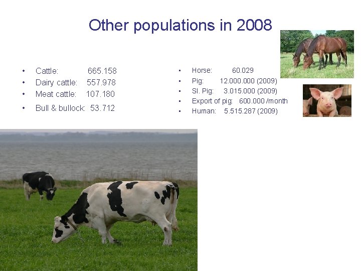 Other populations in 2008 • • • Cattle: 665. 158 Dairy cattle: 557. 978