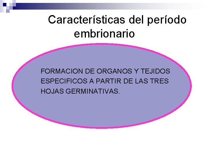 Características del período embrionario FORMACION DE ORGANOS Y TEJIDOS ESPECIFICOS A PARTIR DE LAS
