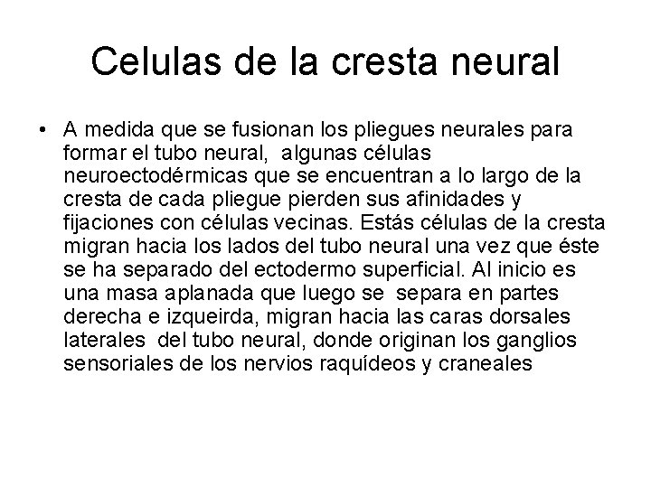 Celulas de la cresta neural • A medida que se fusionan los pliegues neurales