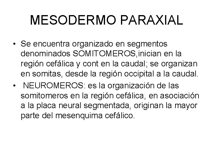 MESODERMO PARAXIAL • Se encuentra organizado en segmentos denominados SOMITOMEROS, inician en la región