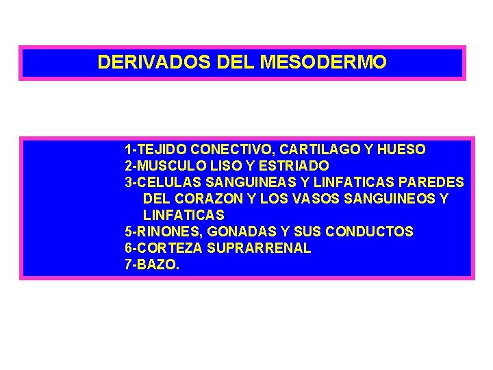 DERIVADOS DEL MESODERMO 1 -TEJIDO CONECTIVO, CARTILAGO Y HUESO 2 -MUSCULO LISO Y ESTRIADO