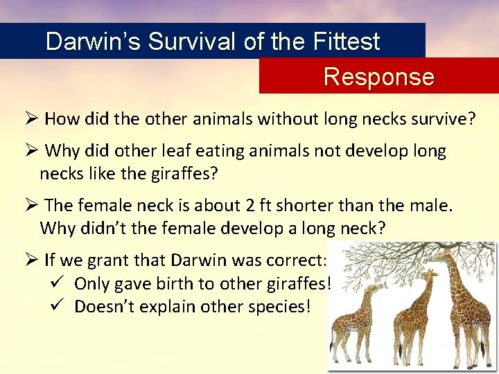 Darwin’s Survival of the Fittest Response Ø How did the other animals without long