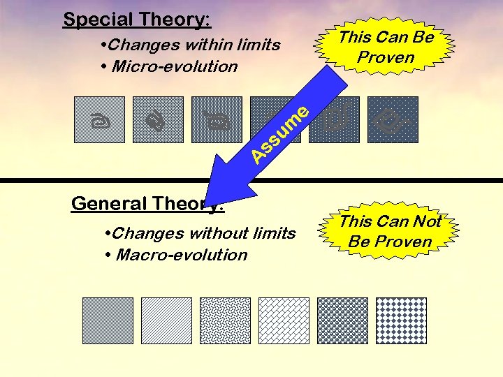 Special Theory: This Can Be Proven • Changes within limits • Micro-evolution e m