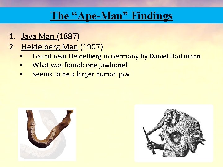 The “Ape-Man” Findings 1. Java Man (1887) 2. Heidelberg Man (1907) • • •