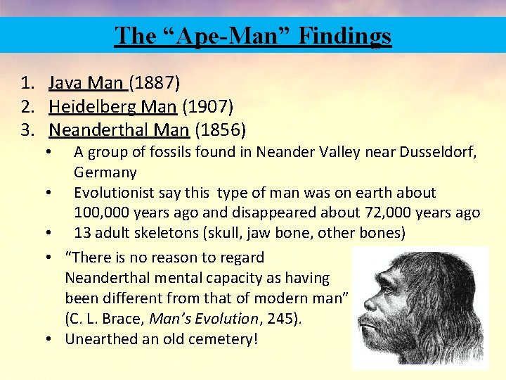 The “Ape-Man” Findings 1. Java Man (1887) 2. Heidelberg Man (1907) 3. Neanderthal Man