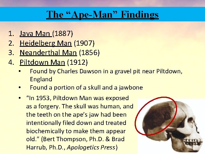 The “Ape-Man” Findings 1. 2. 3. 4. Java Man (1887) Heidelberg Man (1907) Neanderthal