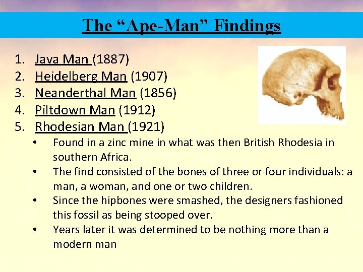 The “Ape-Man” Findings 1. 2. 3. 4. 5. Java Man (1887) Heidelberg Man (1907)