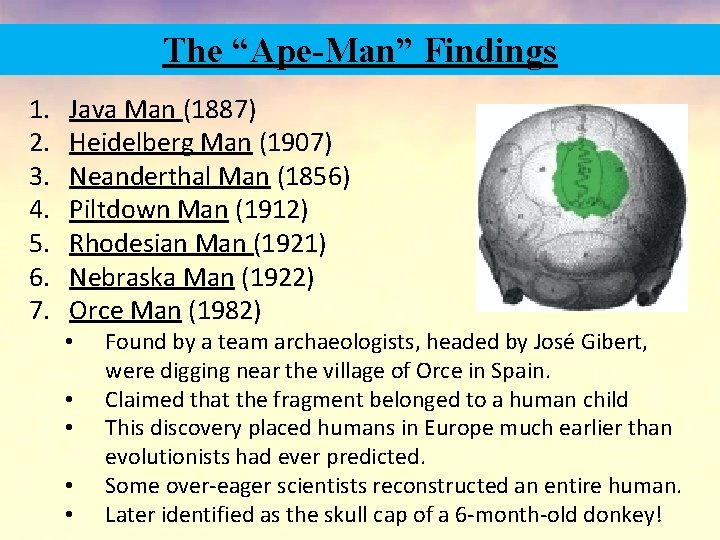 The “Ape-Man” Findings 1. 2. 3. 4. 5. 6. 7. Java Man (1887) Heidelberg