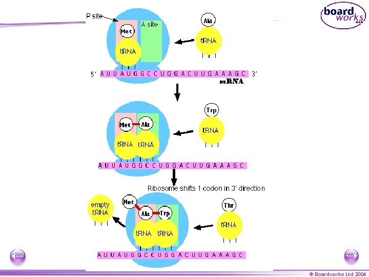 © Boardworks Ltd 2004 