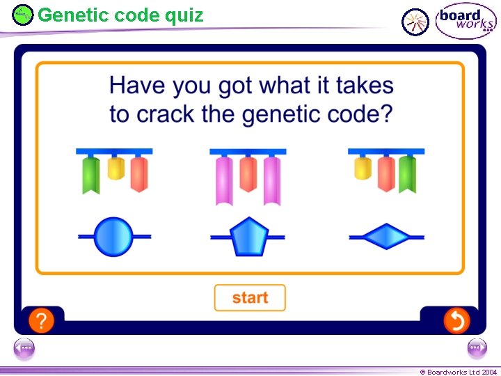 Genetic code quiz © Boardworks Ltd 2004 