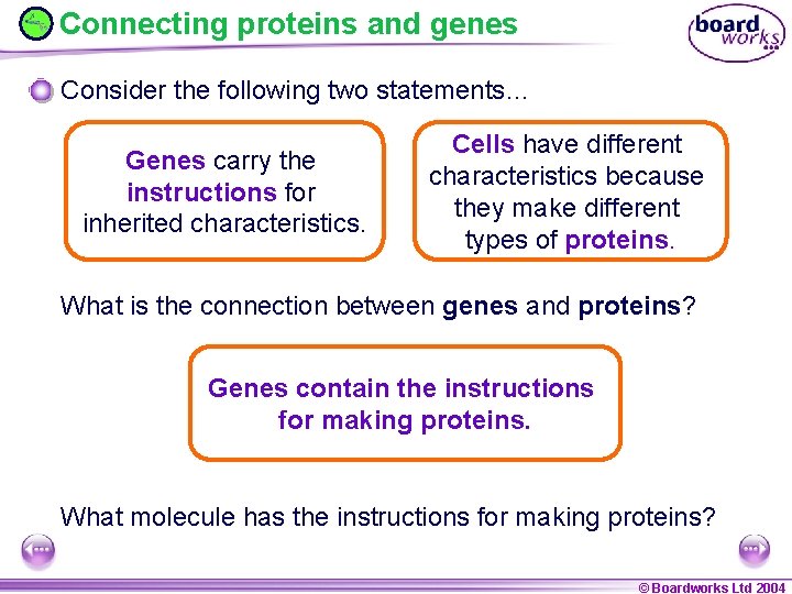 Connecting proteins and genes Consider the following two statements… Genes carry the instructions for