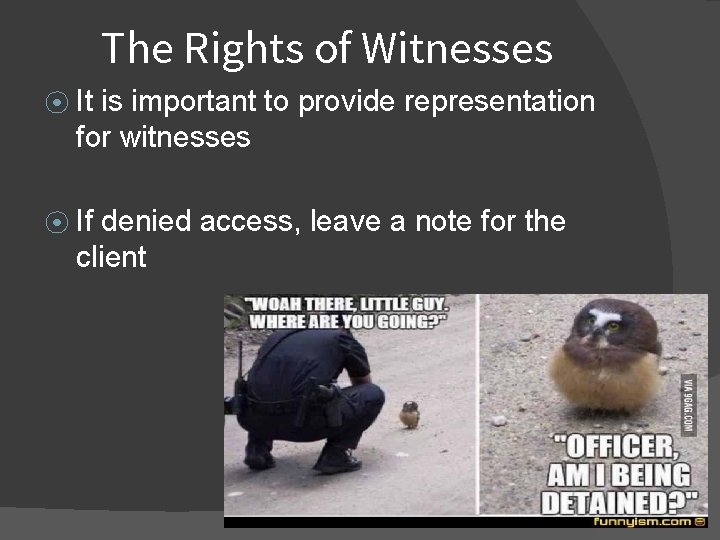 The Rights of Witnesses ⦿ It is important to provide representation for witnesses ⦿